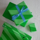 Gift Wrap 66 cm x 10 m Jungle Journey Green