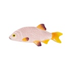 Tallrik fisk snapper