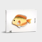 Fisch-Teller „Rainbow“