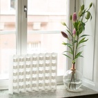 Kleiner Fensterschirm