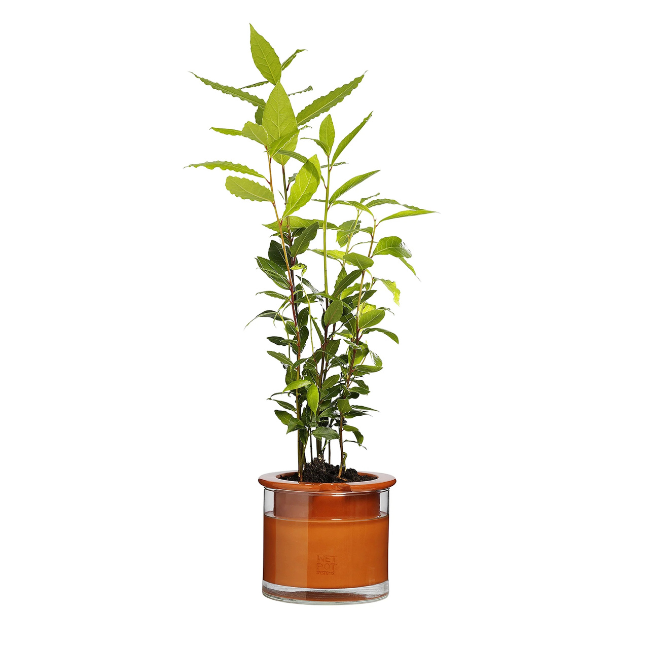 Kruka Wet Pot Small