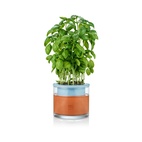 Kruka Wet Pot Small