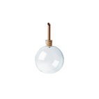 Vas Glasilium D65