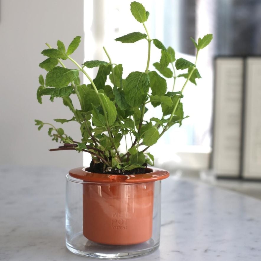 Kruka Wet Pot XS