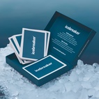 Spel Icebreaker 2