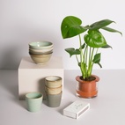 Mugg Dis 4-pack