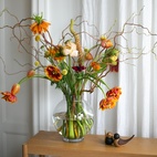 Dalia Vase 26 cm clear