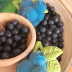 Bitleksak Jerry Blueberry