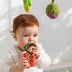 Bitleksak / Skallra Tomat Rattle