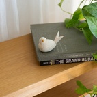 Bird Wood