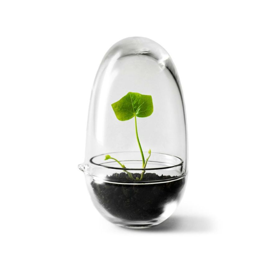 Gewächshaus Grow Glas S