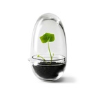Gewächshaus Grow Glas S