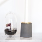 Gewächshaus Grow Glas S