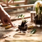 Gewächshaus Grow Glas S