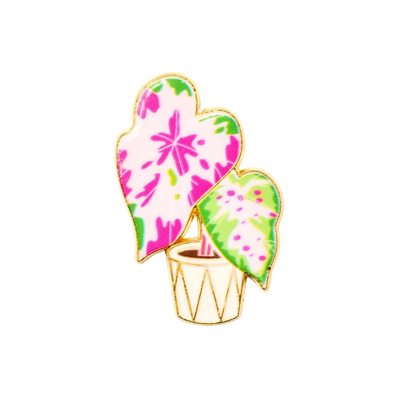 DRMZ Pink Monstera