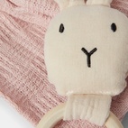 Presentbox Etienne skallra + filt Rosa