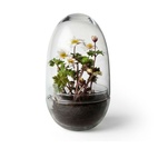 Kasvihuone Grow Glas M