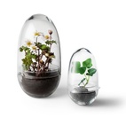 Kasvihuone Grow Glas M