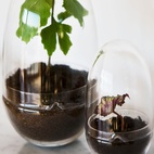 Kasvihuone Grow Glas M