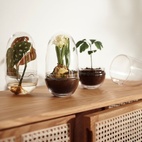 Kasvihuone Grow Glas M