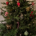 Christmas ornament Lisa L. Mikey