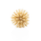 Hard dish brush head
