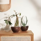Växthus Grow Glas L