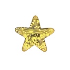 Glasskulptur Star