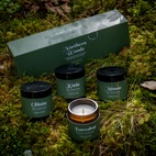 Doftljus Northern Woods 50gr 4-pack