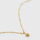 Halsband North Star
