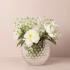 Vase Cara Krystal 18 cm klar