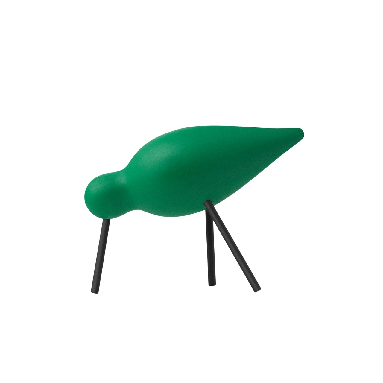 Bird Shorebird Medium Green