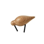 Vogel Watvogel Small Eiche