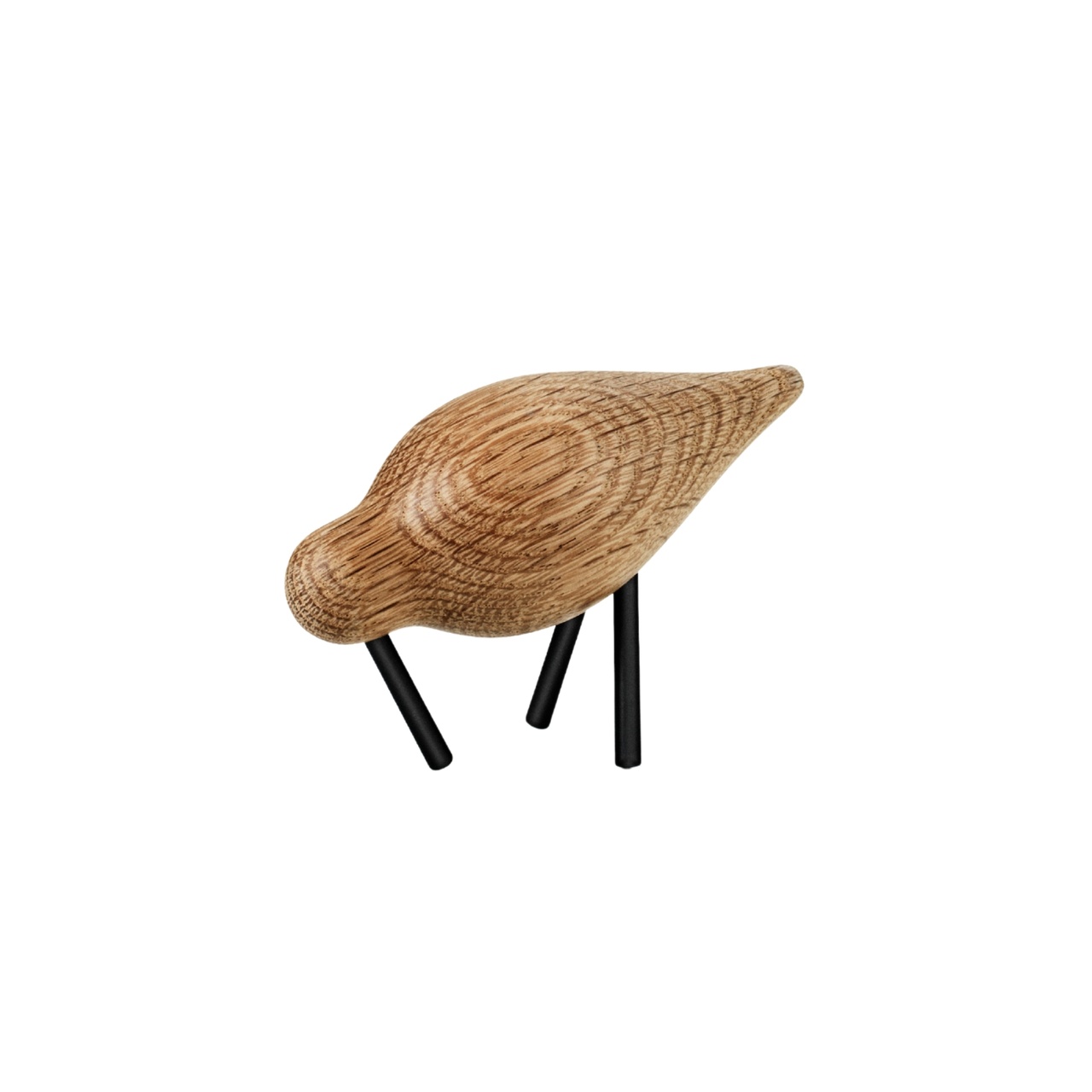 Vogel Watvogel Small Eiche