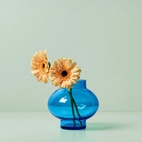 Vase Clara 13 cm