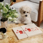 Das Buch A Dog's Life - Dog Journal