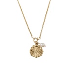Halskette Venus Shell Locket Golden