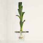 Planteholder Regrow Aluminium