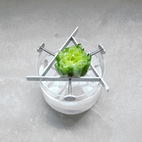 Planteholder Regrow Aluminium