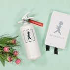 2 kg Solstickan Fire Extinguisher