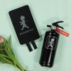 2 kg Solstickan Fire Extinguisher
