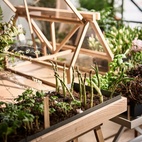 Drivhus Greenhouse Ask