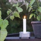 Ljusstake Stumpastaken Ettan