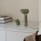 Pilo No. 2 Sage Lint Remover