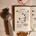 Bok Illustrated cocktail guide for your home bar