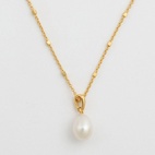 Halsband Treasure Single Pearl Guld