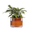 Kruka Wet Pot XS