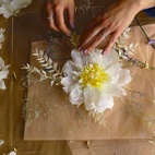 Blompress Ängsfälla Fönster