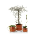 Kruka Wet Pot XS